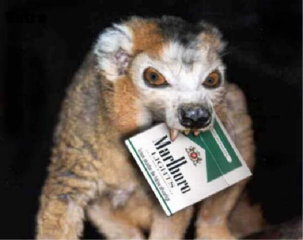 pub marlboro-humourenvrac